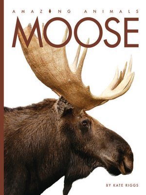 cover image of Moose